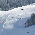 Wellness Dr Krainer Apartment *