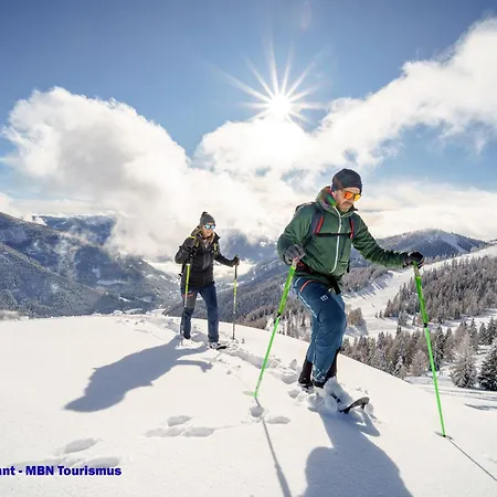 Wellness Dr Krainer Apartment Bad Kleinkirchheim
