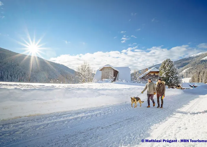 Apartament Wellness Dr Krainer