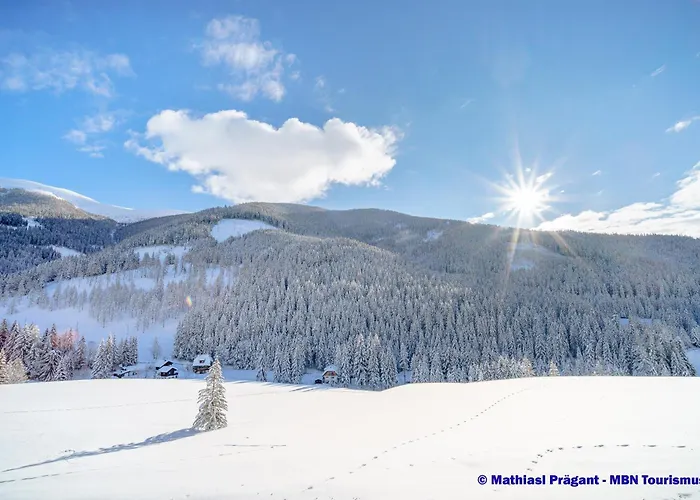 Wellness Dr Krainer באד קליניקירשהיים