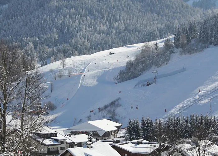 Wellness Dr Krainer *