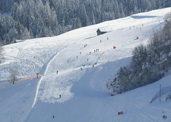 Wellness Dr Krainer Apartament *